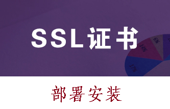 企业用户商用SSL证书初审加急服务(7*24)