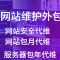 企业网站运维技术支持服务