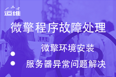 微擎服务器代维定制款