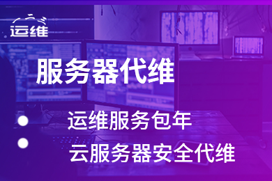 服务器外包维护 云服务器外包代维 服务包年托管代维护