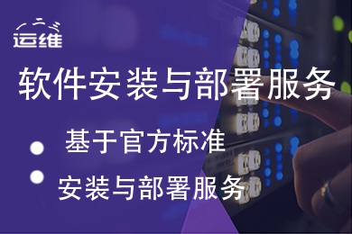 软件安装与部署服务