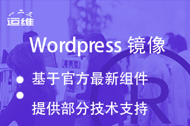 WordPress建站系统（官方正版主题）2024-4月更新