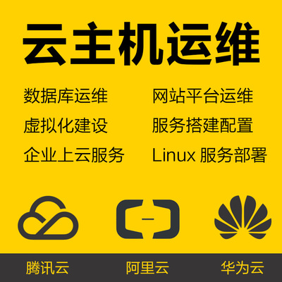 服务器代维 服务器代维护 网站维护/网站托管/网站迁移/网站搬家/服务器维护/网站代维护服务器代运维服务 