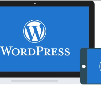 wd网站托管 discuz/dz论坛搬家/被黑木马/错误修复/dz维护/BUG修复/WordPress代安装维护|故障排除