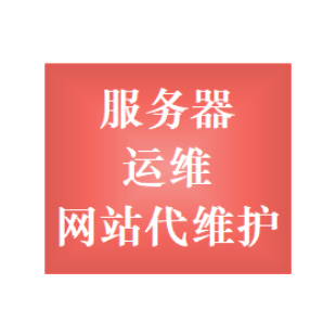 云服务器代运维服务 服务器代维,网站运维,网站代维,服务器维护外包