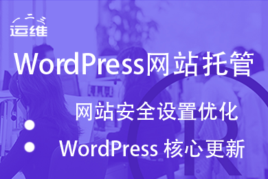 Wordpress建站系统（附高级运维支持）